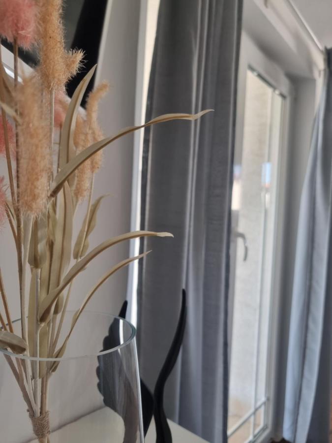 Apartment Miric
